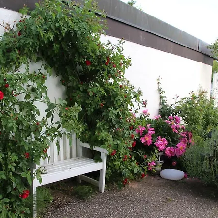 Schoene Im Zentrum Leben Homestay